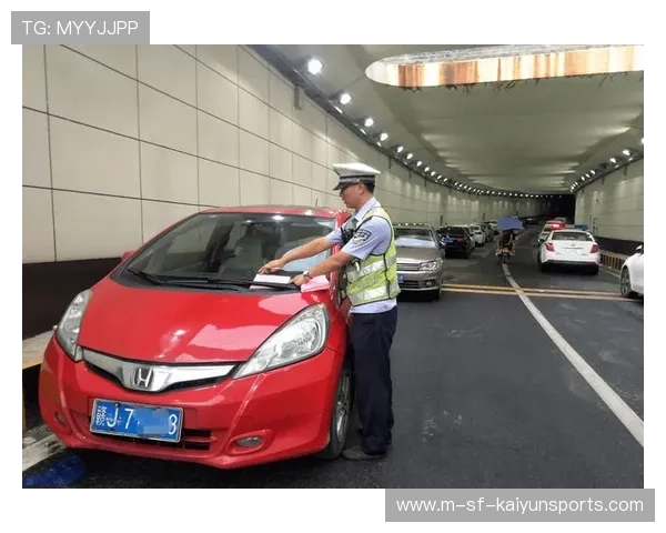 比赛日场馆外停车秩序异常投诉受理与处理流程说明，停车场不合规举报